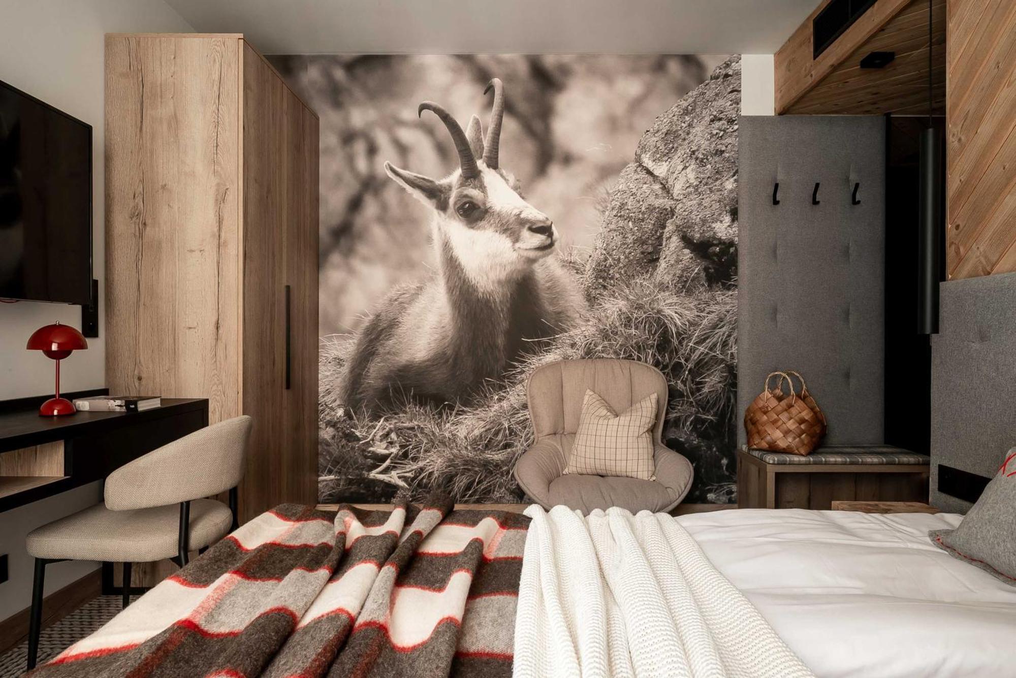 Stefanova Zakopane Aparthotel & Spa Eksteriør billede